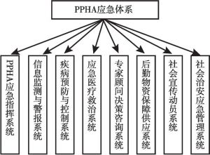 图2 PPHA应急体系组织构架
