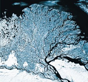/2000年卫星拍摄的西伯利亚的勒拿河三角洲//