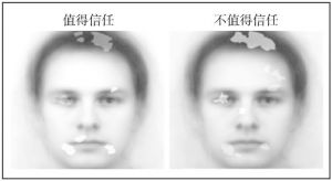图5-7 西方人可信性面孔特质诊断区域