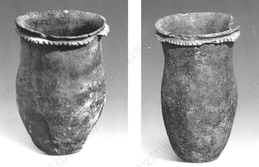 图4-69 宁安虹鳟鱼场渤海墓葬中出土的两个陶罐