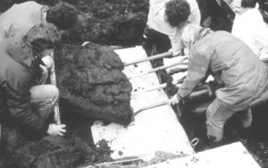 图4 贺维（右3）与柴郡政府考古学家特纳（Dick Turner）考古团队在“林道人”遗骸出土发掘现场