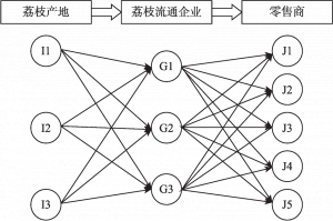 图3-15 荔枝流通企业物流系统网络结构