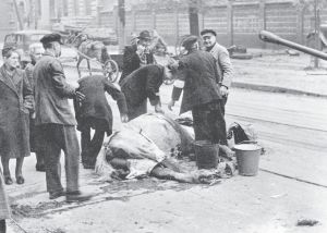 1945年5月2日柏林战斗结束后，柏林市民正从一匹马的尸体上分肉。（Berliner Verlag/Archiv/dpa/ZB/Picture-Alliance，Frankfurt/Main）