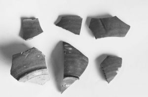 图9 肯尼亚上加遗址出土10世纪越窑青瓷片