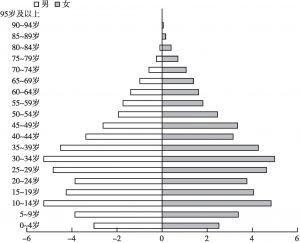 图5-1 2000年中国人口年龄结构金字塔