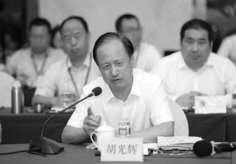 海南省人大常委会副主任胡光辉在会上发言