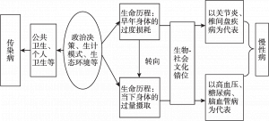 图3-1 中国农村疾病谱变迁的解释框架