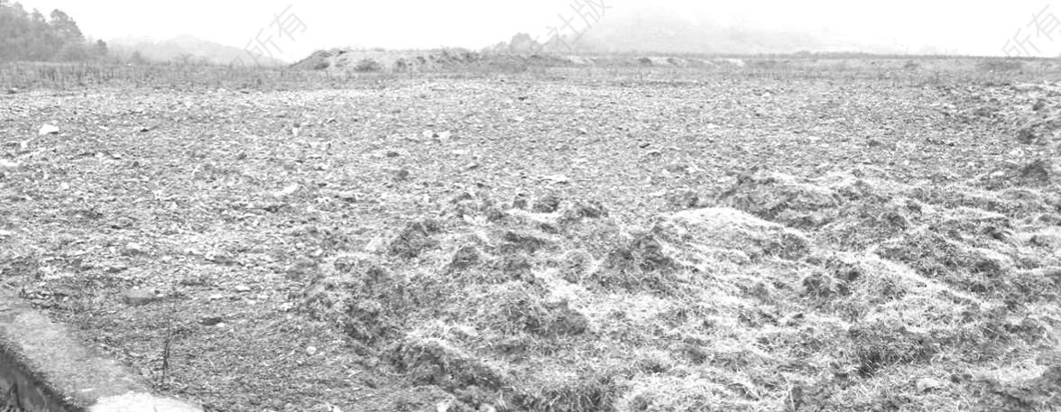 图2-5 燕垅矿区排土场1930m平台北侧部分绿化复垦