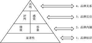 图8 CBBE模型金字塔