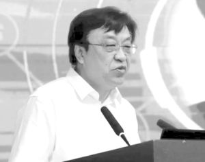 Fei FENG，Deputy Secretary of the CPC Hainan Provincial Committee and Governor of Hainan Province，delivering a speech at the Conference