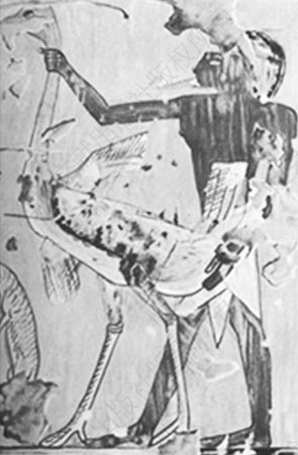 图2-2 埃及十八王朝User墓出土献祭鸵鸟壁画