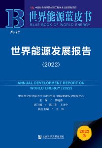 世界能源发展报告（2022） 黄晓勇 主编 陈卫东 王永中 副主编 王炜 执行主编
