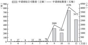 图2 2021年中国元宇宙相关商标申请状况