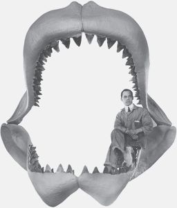 图17 巨齿鲨的颌