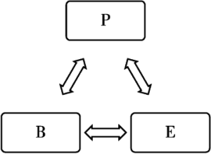 图3-1 三元交互决定论