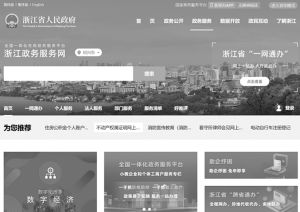 图3 浙江政务服务网
