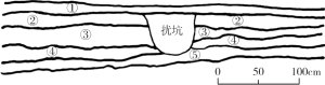 图三 江边遗址T2西壁地层剖面图