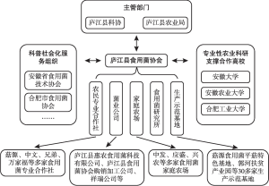 图3 庐江县食用菌协会科普联结模式