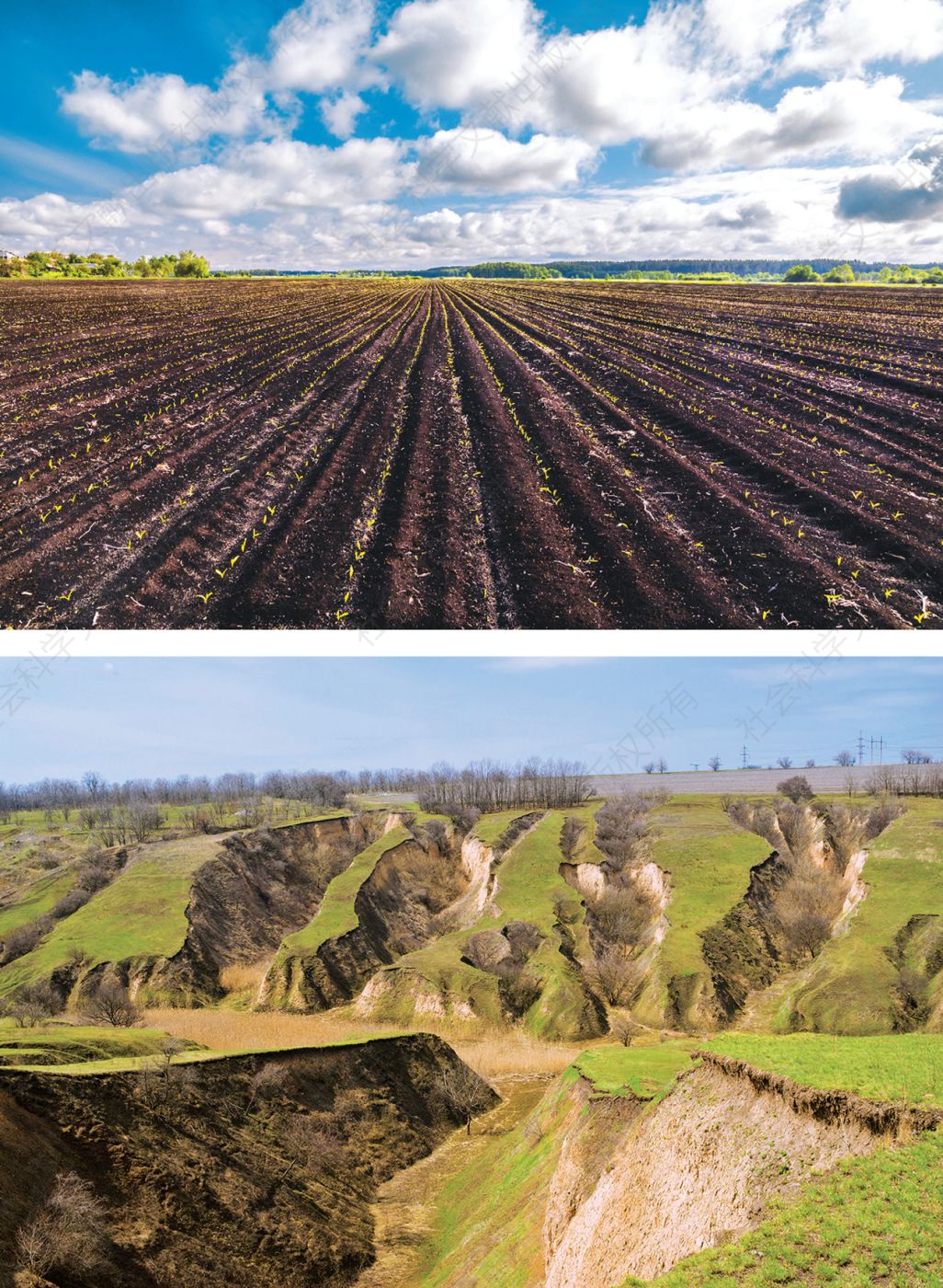 彩图5 乌克兰切尔诺贝利黑钙土地区最近种植的田地（上）；乌克兰严重的土壤侵蚀（下）