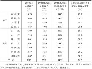 表2 云南农村家庭和农村低保家庭收入状况