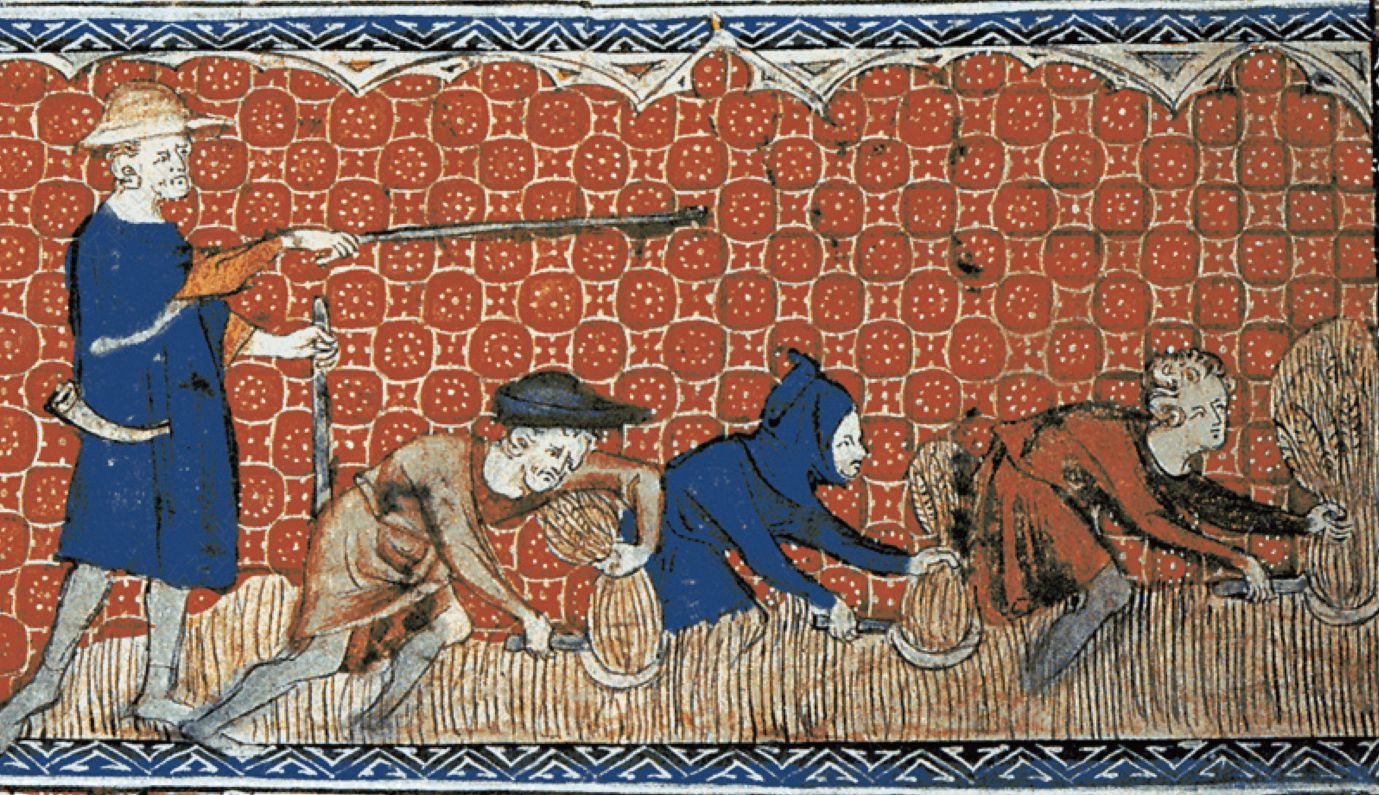 在庄园管理者的监督下收割谷物的农奴。