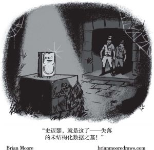 图5 将以不可复原（“未结构化”）的方式存储的数据描述为进入了“数据坟墓”