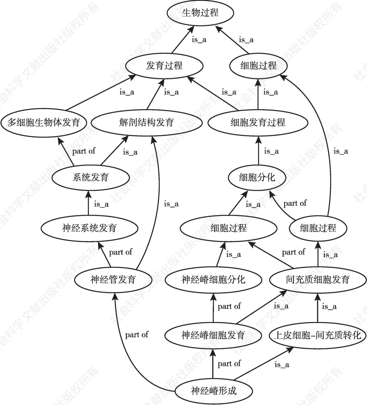 图6 作为术语网络的基因本体论的一部分的可视化