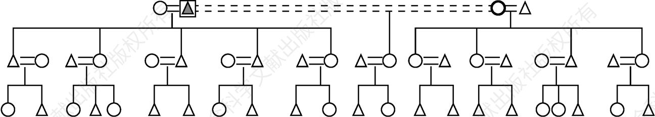 图2-1 TSEG重组家庭结构示意