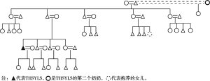 图2-2 THSYLS所在的大家庭亲属结构