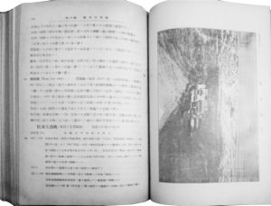 图4 近代日本编绘《扬子江水路志》内影