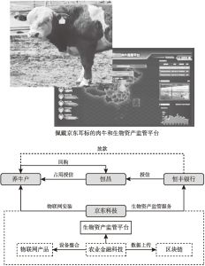 图7 京东肉牛生物资产监管平台