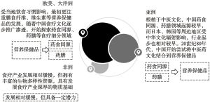 图7 全球食疗产业发展路线