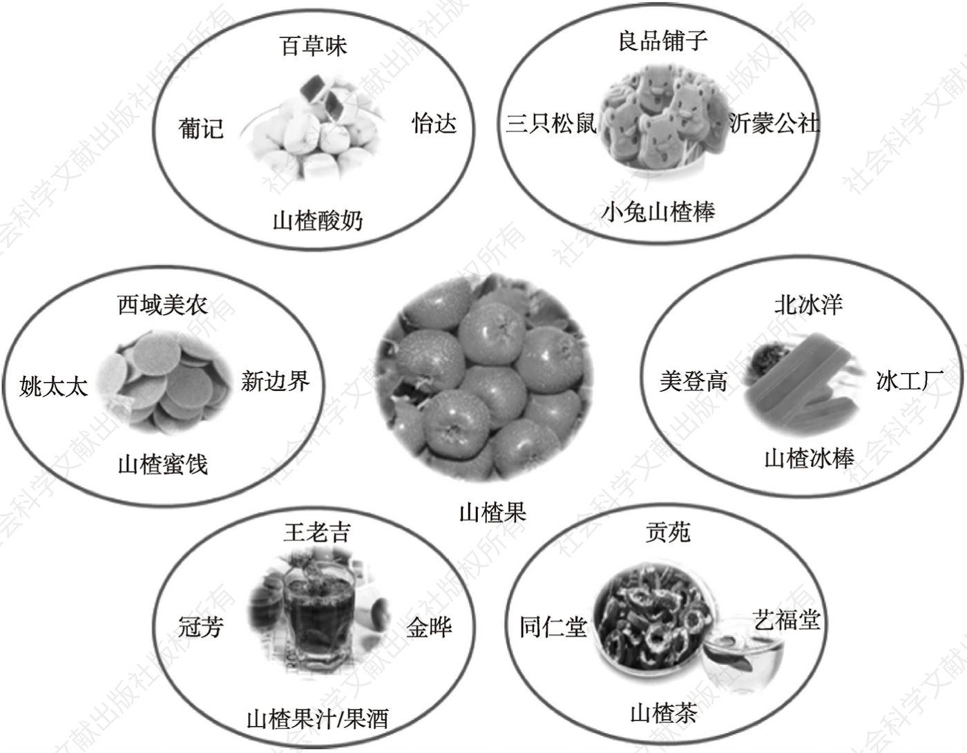 图1 山楂常见加工制品及品牌