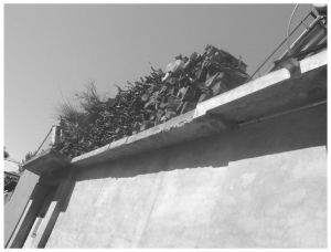 图11 村庄房顶上储存的柴薪
