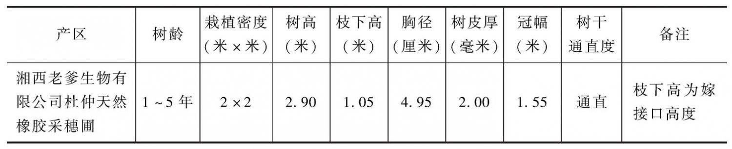 表3 湖南省杜仲立体栽培模式抽样调查