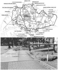 图3 新加坡的慢行系统连接了各大主要公园及休闲空间