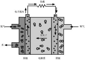 图1 碱性燃料电池结构