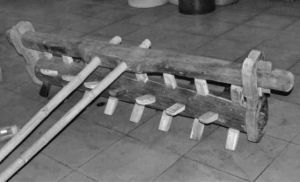 图3-5 在壮侬岱泰民族地区普遍使用的木齿耙（黄氏缘 摄）
