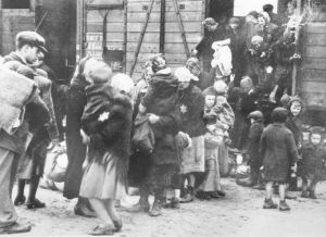 在奥斯维辛集中营，犹太人被赶下运牛火车