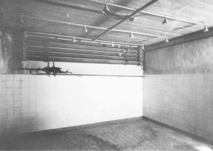 毛特豪森集中营的毒气室