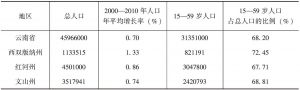 表5-1 “六普”中云南省及8个边境州市的劳动力资源状况