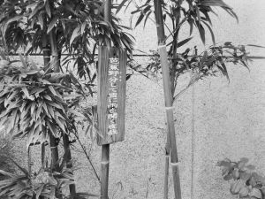 须贺川市芭蕉纪念馆的俳句竹牌
