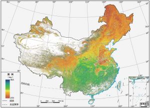 图4 2014年中国植被生长季末期空间分布