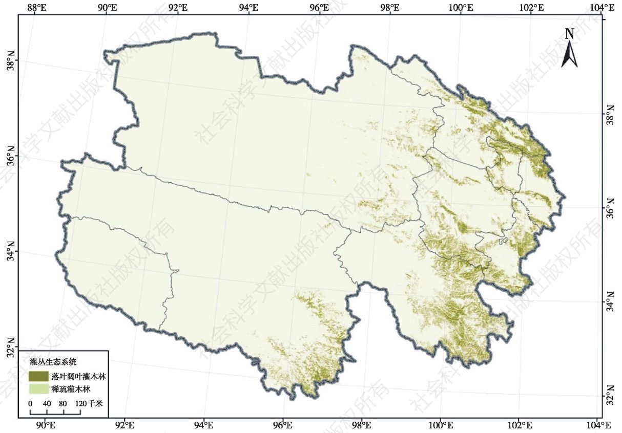 图7 2010年青海省灌丛生态系统空间分布示意