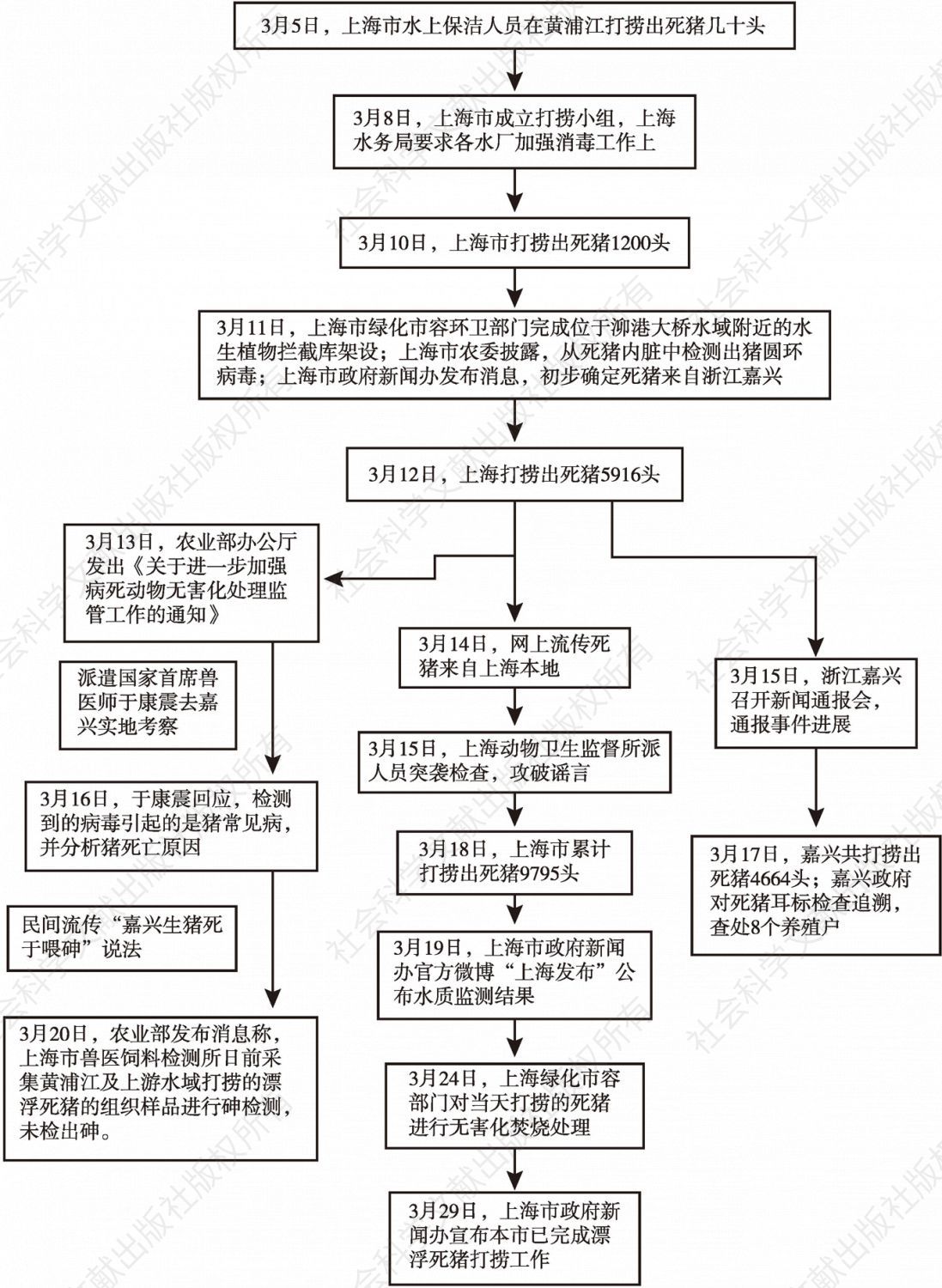 图2 黄浦江“死猪”事件应急处置过程