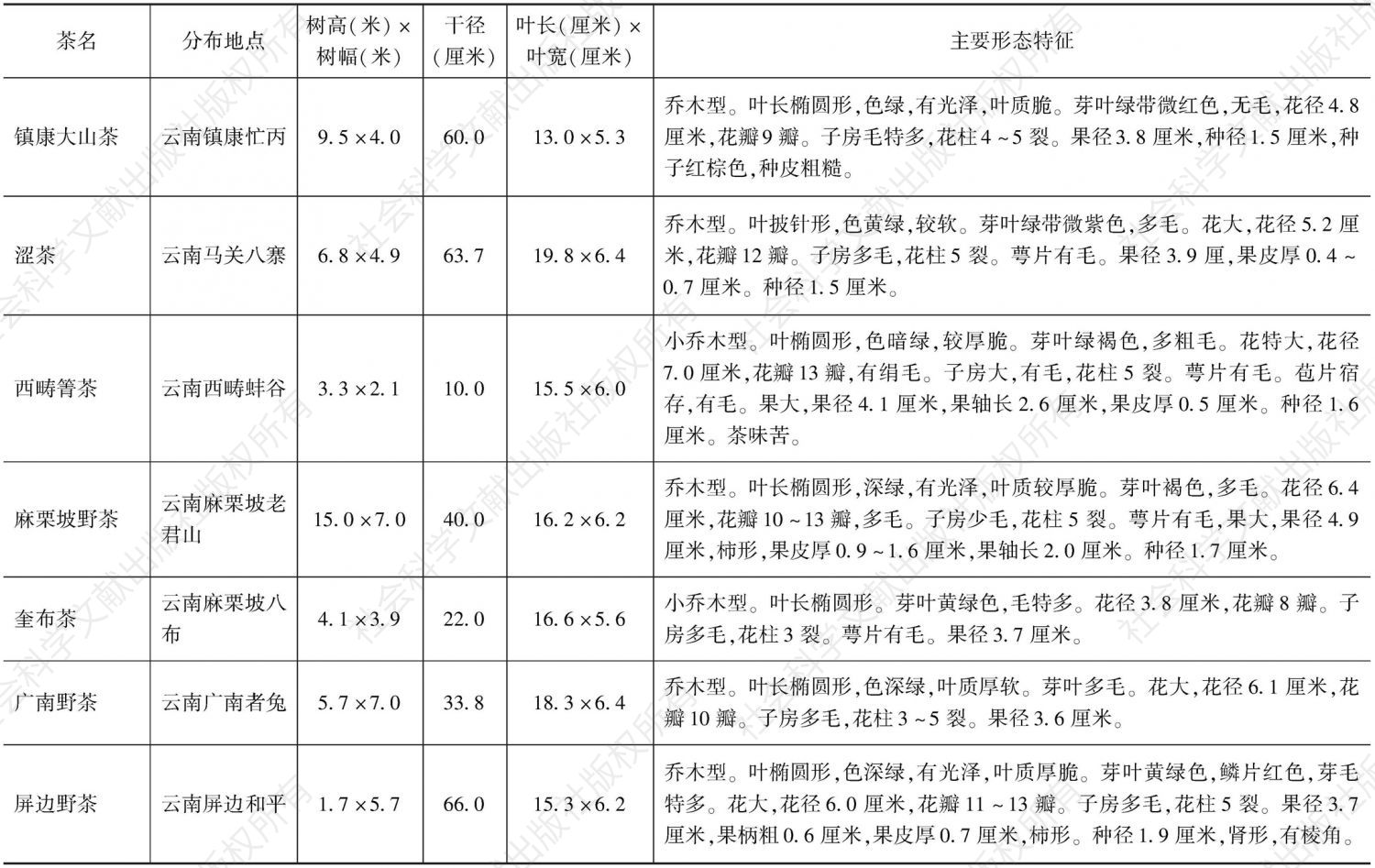 表2 现存野生茶树种质（云南省）-续表3
