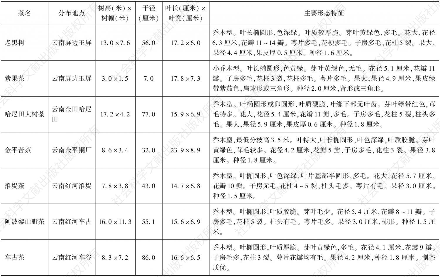 表2 现存野生茶树种质（云南省）-续表4
