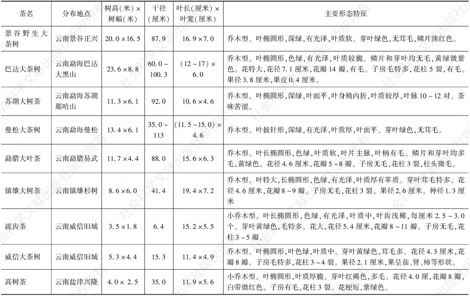 表2 现存野生茶树种质（云南省）-续表6