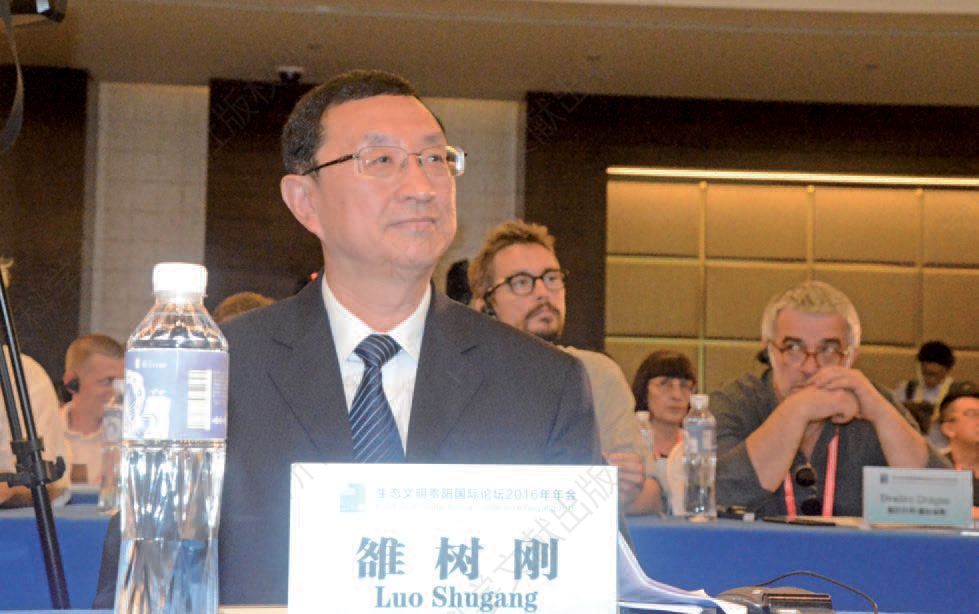 文化部部长雒树刚出席论坛 Luo Shugang，Minister of Culture of China at the Forum