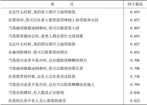 表6 杭州市随迁女性老人社会支持量表因子分析结果